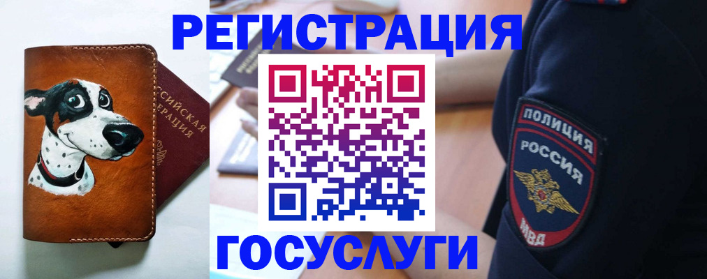 временная регистрация в квартире в Белой Холунице